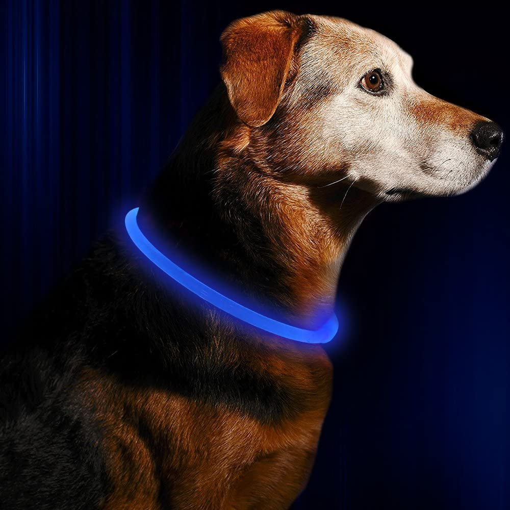 Light up Dog Collar, USB Rechargeable Flash Dog Necklace Light, Pet Safety Collar Makes Your Beloved Dogs Be Seen at Night for Small Medium Large Dogs(Blue)