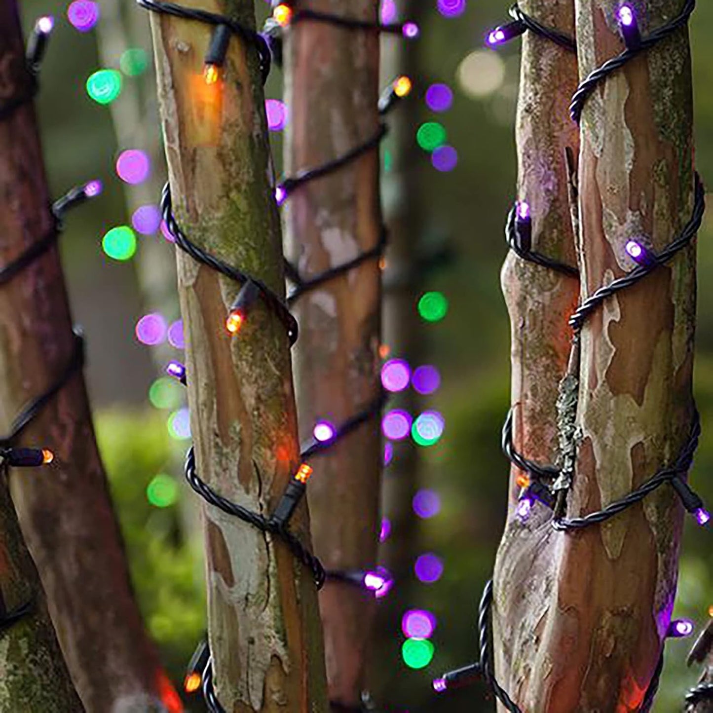 300 LED Indoor String Lights, 100 FT Plug in Waterproof String Lights with 8 Modes for Halloween Thanksgiving Christmas Garden Decoration (Purple, Orange and Green)